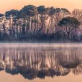 REFLETS SUR L'ETANG DE HARDY