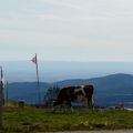 HAUT-RHIN - Un dimanche au MARKSTEIN dans les VOSGES.