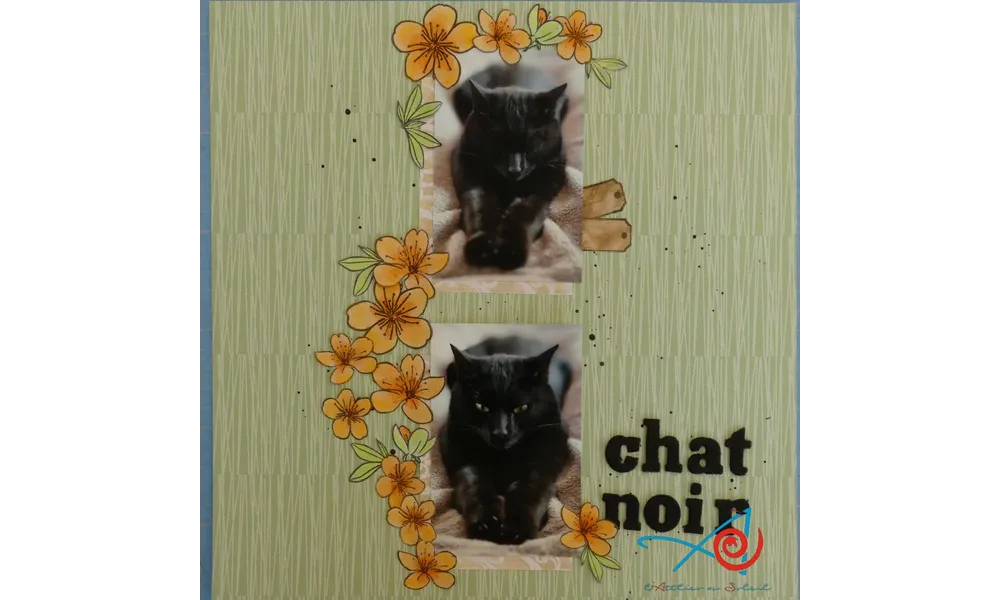 Page chat noir - Black cat page