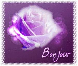 Filet de canard au cidre