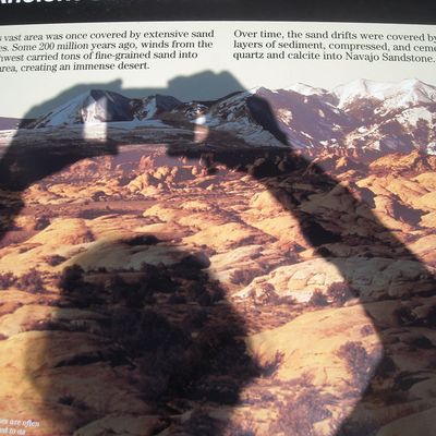 Petrified Dunes and Balanced Rock