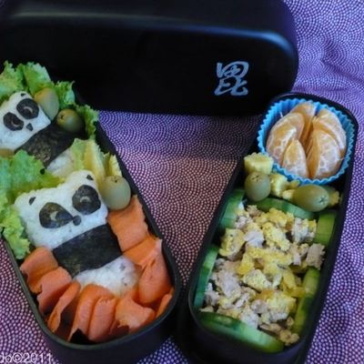 2011: L'odyssée du Bento (Phase 1)