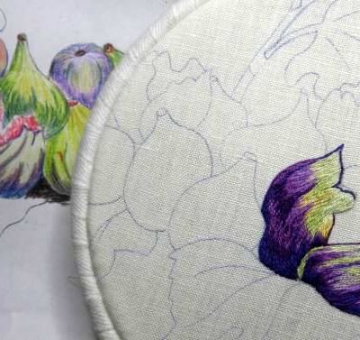 Mmmm... des figues !