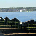 Le plus grand parc solaire de France en pleine forêt