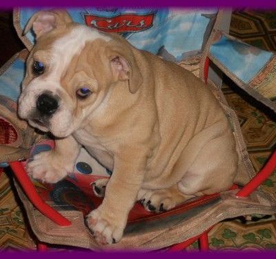 Et là sur la chaise de mon fils.