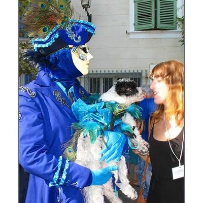 Flâneries Vénitiennes- le petit chien aaussi!