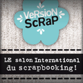 VERSION SCRAP 2014