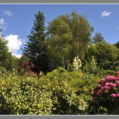 LE JARDIN "LA FERME DES ROCHES" 