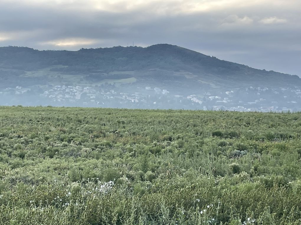 Vendredi 03 octobre 2025 sur un des balcons de ma ville  , en date du 29 sept 2025 et le vent était très froid , ça réveille de bon matin ... Je vous laisse contempler mon diaporama 
