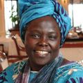 Wangari Maathai, Prix Nobel de la Paix 2004, pour