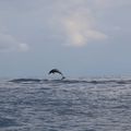 Isla cano une journee dans l'eau