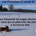 Proverbes 13 verset 20