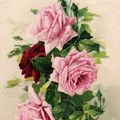 Cartes Postales Anciennes et lithographies : Les roses de Catharina Klein...