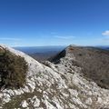 La Sainte Baume, forcément. 3 mars 2015