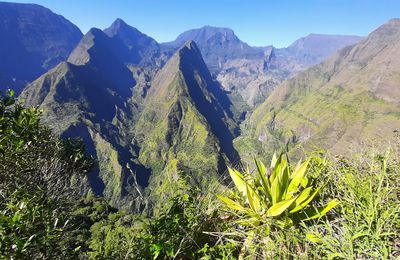 JUILLET 2021 LA REUNION