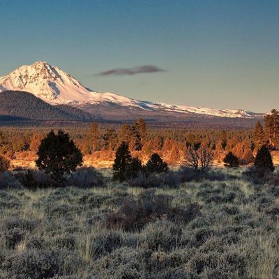 Le chemin du désert