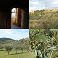 images de Toscane