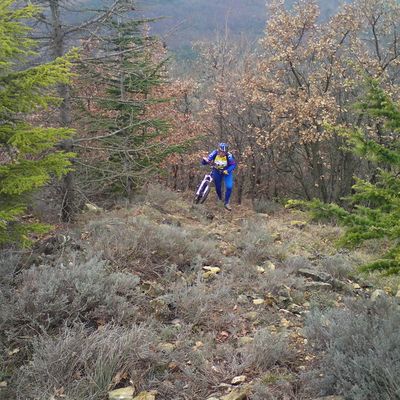 C'est Norbert qui lit la carte