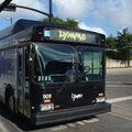 Orlando transports publics : bus Lynx