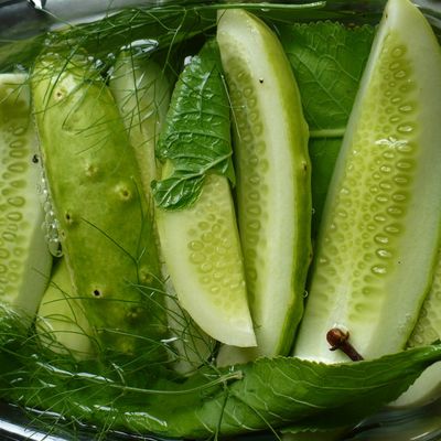 Cornichons lactofermentés