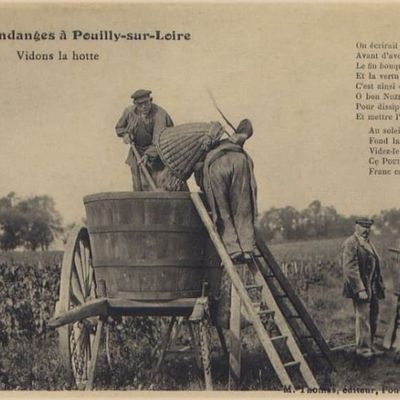 Le pouilly-sur-Loire. Le chasselas de table. En 1860.