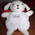Mouton Yoan