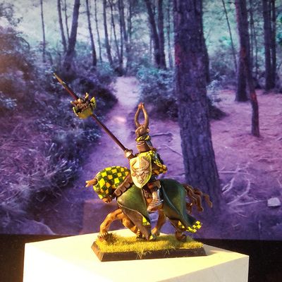 Chevalier Bretonnien et trophée !