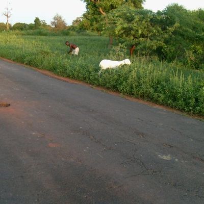 Yene, Sénégal, 2009