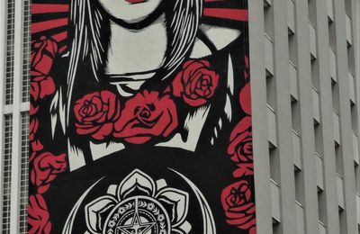 street art FEST 2019  Shepard Fairey  (US)    EXPO OBEY  GIANT 30  YEARS of resistance