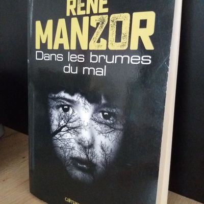 Dans les brumes du mal - René Manzor