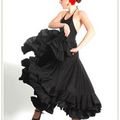 La vie en Flamenco