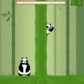 « Bamboo Panda », le divertissement de destruction