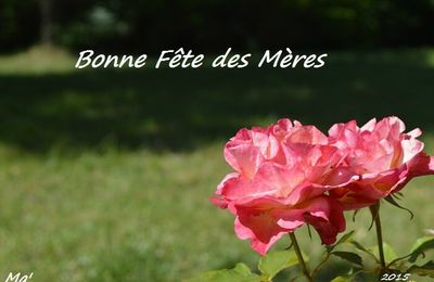 Fête des mères 2015