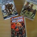 bloodbowl 3