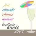 Bonne Année 2009 !!!