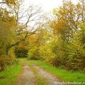 Automne