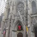 La cathedrale saint Patrick situee en plein