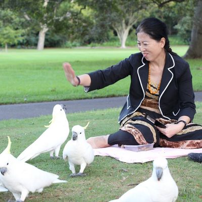 Sydney - The Royal Botanic Garden