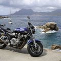 YAMAHA  XJR  SP  1300 