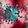 COVID : REPRISE DES PUBLICATIONS DE « SANTÉ PUBLIQUE FRANCE ». 