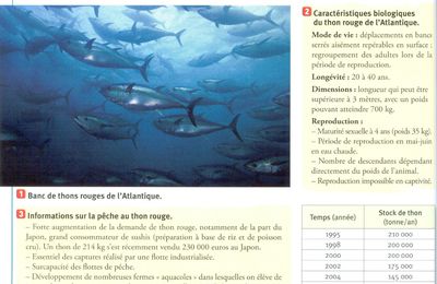 Séance numéro 7 : les mathématiques pour comprendre les enjeux de l'appauvrissement de la biodiversité marine