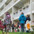 Bal(l)ade poétique urbaine