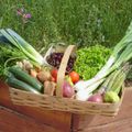 Panier garni de légumes