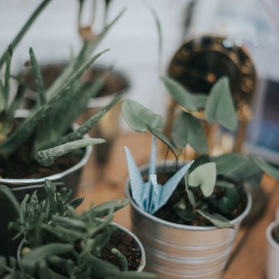 Et si on parlait d'autre chose... La déco 