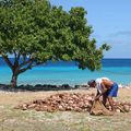 Rangiroa: 27-31 juillet (9): visite de Tiputa