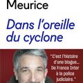 DANS L'OREILLE DU CYCLONE - GUILLAUME MEURICE.