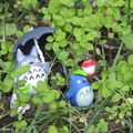 Totoro s'invite dans mon jardin