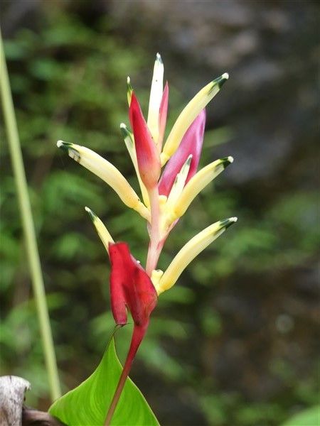 P1280764