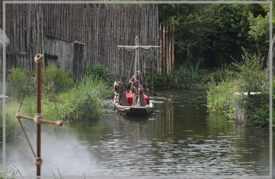 Les Vikings arrivent !