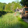 PELOUSES ET BAS-CÔTÉS : UN FAUCHAGE RAISONNÉ POUR PRIVILÉGIER LA BIO-DIVERSITÉ.